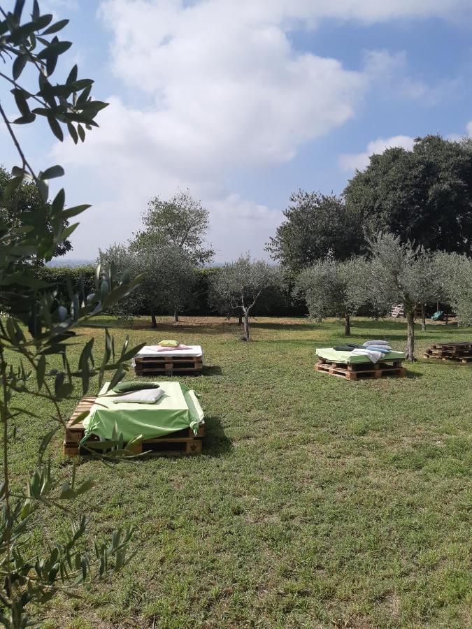 Pace, Luminosita E Comodita A Due Passi Dal Garda Volta Mantovana Exterior photo