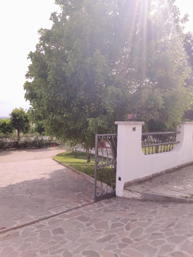 Pace, Luminosita E Comodita A Due Passi Dal Garda Volta Mantovana Exterior photo