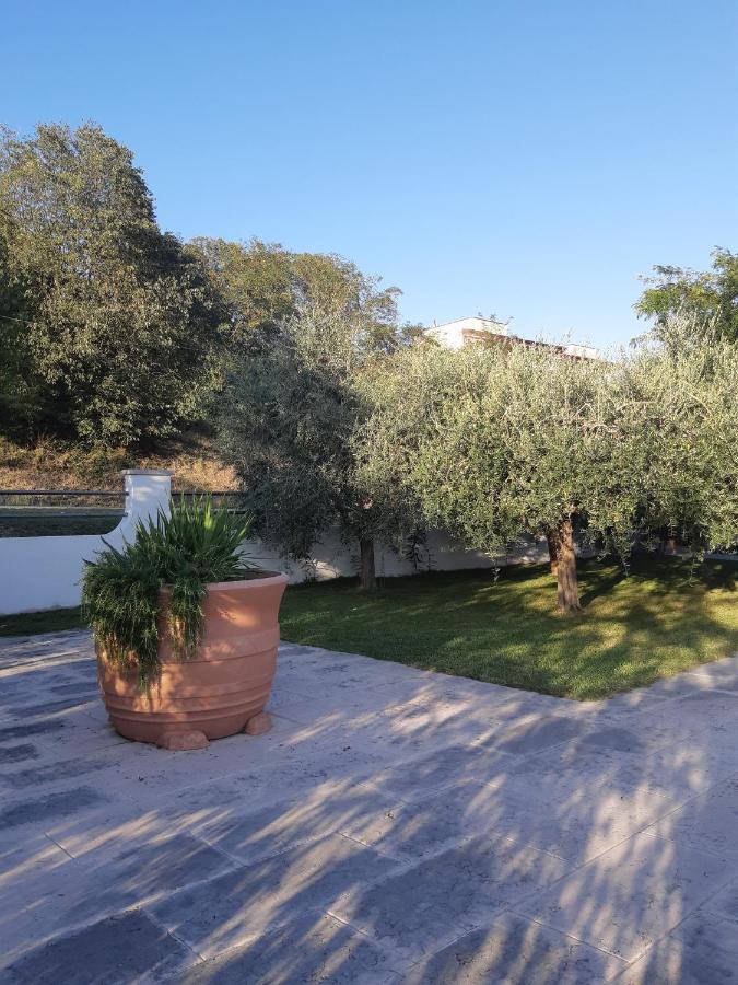 Pace, Luminosita E Comodita A Due Passi Dal Garda Volta Mantovana Exterior photo