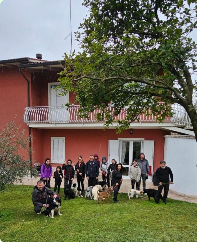 Pace, Luminosita E Comodita A Due Passi Dal Garda Volta Mantovana Exterior photo